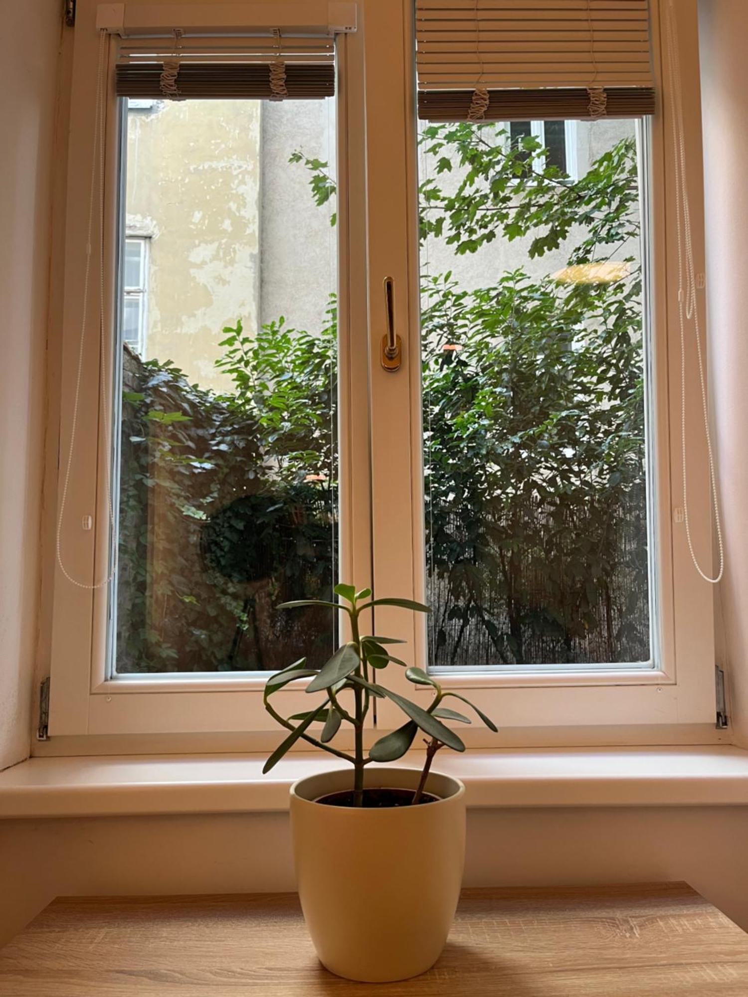 Quiet Apartment Next To Belvedere & Central Station Wenen Buitenkant foto